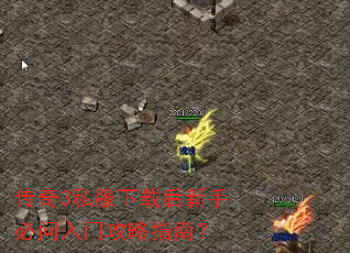 ����3˽�����غ����ֱ������Ź���ָ�ϣ�