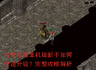 ����˽��������������ο����������������Խ���