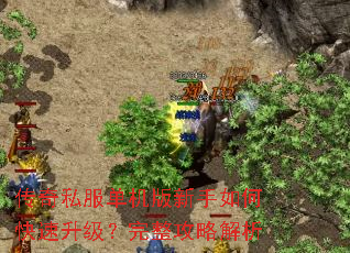 ����˽��������������ο����������������Խ���