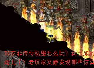 刘亦菲传奇私服怎么玩?新手如何快速上手?老玩家又能发现哪些惊喜? 刘亦菲传奇私服怎么玩?新手如何快速上手?老玩家又能发现哪些惊喜?