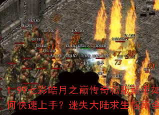 1.99�߲����֮�۴���˽��������ο������֣���ʧ��½����ָ��ȫ����