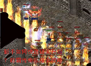 ������ο����ƹ��������ưԴ���˽��ȫ����