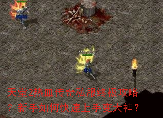 ����2��Ѫ����˽���ռ����ԣ�������ο������ֱ����