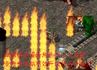 ��ο���������ɫ�ȼ�����ְҵ����΢�˸�Ч�������ɷ���