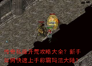 ����˽�����Ĺ��Դ�ȫ��������ο������ֳư��귨��½��