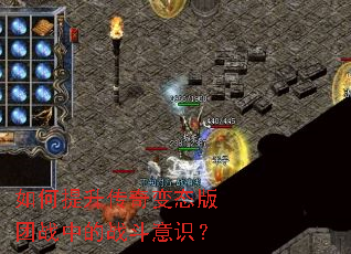 ������������̬����ս�е�ս����ʶ��