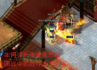 ������������̬����ս�е�ս����ʶ��