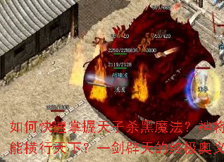 ��ο�����������ɱ��ħ����������������ܺ������£�һ��������ռ�������ʲô��