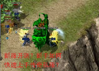 �·����⣿������ο������ִ���˽����