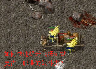 ��ο������������Ĭ������ְҵ��ս������