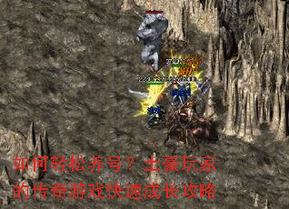 ����������ţ�������ҵĴ�����Ϸ���ٳɳ�����