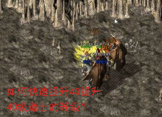 ��ο�������40����40����ʿ�ĵȼ���