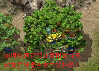 ��ο��ٻ�ȡ��ʹ����ǿ���⸴�����������е�������