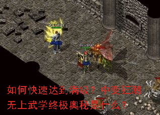 如何快速达到满级?中变狂潮无上武学终极奥秘是什么? 如何快速达到满级?中变狂潮无上武学终极奥秘是什么?