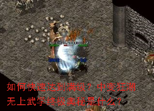 如何快速达到满级?中变狂潮无上武学终极奥秘是什么? 如何快速达到满级?中变狂潮无上武学终极奥秘是什么?