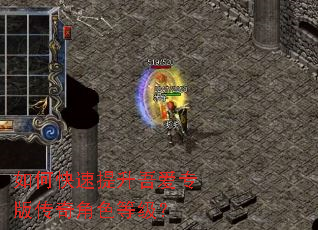 如何快速提升吾爱专版传奇角色等级? 如何快速提升吾爱专版传奇角色等级?