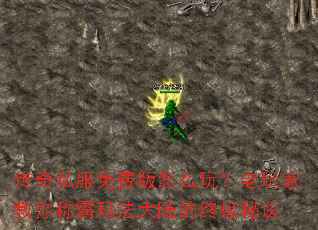传奇私服免费版怎么玩?老玩家教你称霸玛法大陆的终极秘诀 传奇私服免费版怎么玩?老玩家教你称霸玛法大陆的终极秘诀