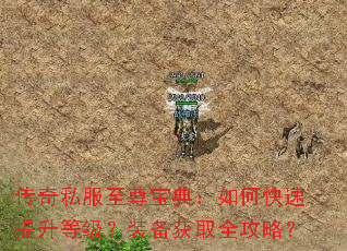 传奇私服至尊宝典:如何快速提升等级?装备获取全攻略? 传奇私服至尊宝典:如何快速提升等级?装备获取全攻略?