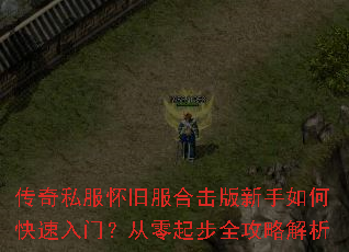 ����˽�����ɷ��ϻ���������ο������ţ�������ȫ���Խ���