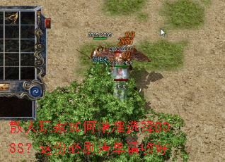 ɢ�������ξ�׼ѡ��BOSS����ݱ�ˢ�嵥���պ�