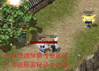 ��ο����ưԴ���˽������������ؾ��󹫿�