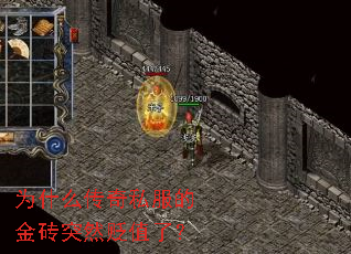 为什么传奇私服的金砖突然贬值了? 为什么传奇私服的金砖突然贬值了?