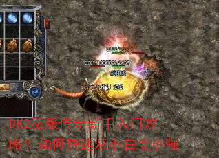 DK2˽�������������Ź��ԣ���ο��ٴ�С�ױ�Сǿ