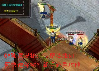 GM���ҽ��أ�����˽����ο��ٳưԣ����ֱؿ�����