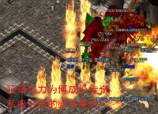 ��֮��Ϊ�γ�Ϊ����˽����Ա�ı������ԣ�