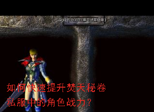 ��ο������������ؾ�˽���еĽ�ɫս����