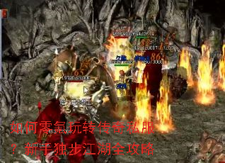 ��������ת����˽�������ֶ�������ȫ����