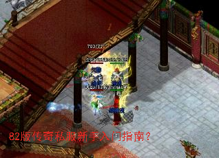 82�洫��˽����������ָ�ϣ�