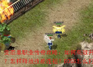 ��̬��ְҵ���湥�ԣ���θ�Ч����װ���������ͷż������У�BOSS��ô��