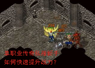 ��ְҵ����˽��������ο�������ս����