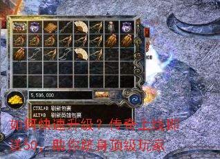 ��ο����������������߼���50�����������������