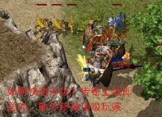 ��ο����������������߼���50�����������������