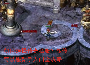 ���ѡ����˽�����紫��˽����������ȫ����