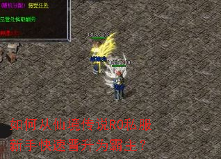 ��δ��ɾ���˵RO˽�����ֿ��ٽ���Ϊ������