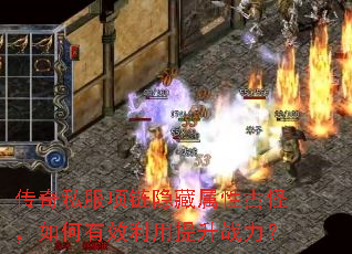 ����˽�������������ԹŹ֣������Ч��������ս����