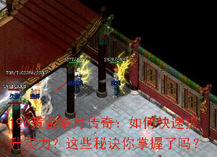 196�ƽ���´��棺��ο�������ʵ������Щ�ؾ�����������