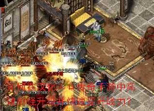 ����ں����������������и�Чˢ����������������ս����