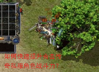 ��ο��������ϻ�����˽����ɫս������