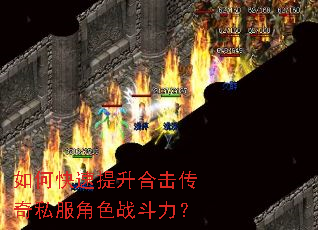 ��ο��������ϻ�����˽����ɫս������