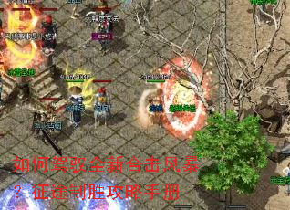 ��μ�Ԧȫ�ºϻ��籩����;��ʤ�����ֲ�