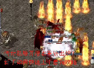 ����˽���������ذ���¯��������ο���������ǿ����
