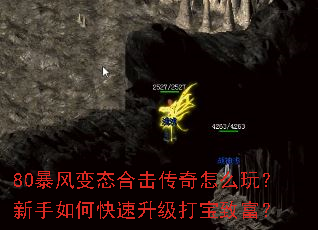 80�����̬�ϻ�������ô�棿������ο����������¸���
