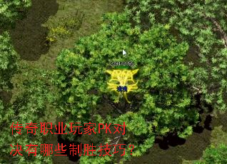 ����ְҵ���PK�Ծ�����Щ��ʤ���ɣ�