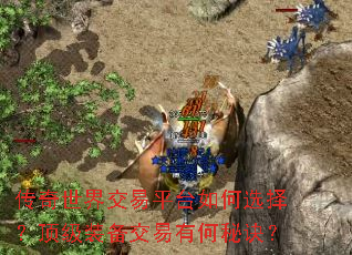 �������罻��ƽ̨���ѡ�񣿶���װ�������к��ؾ���