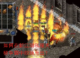 ������½���˽��������������ӱ������