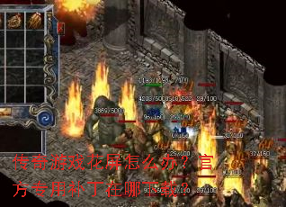 ������Ϸ������ô�죿�ٷ�ר�ò����������أ�
